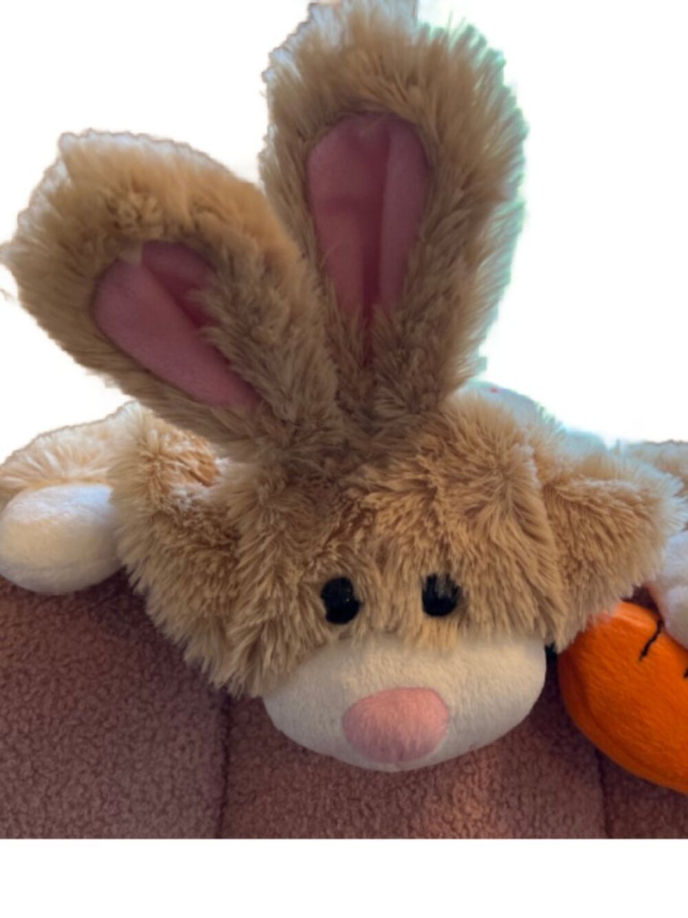 Bunny Dog Costume, Easter Rabbit Pet Costume, Top Paw Medium Dog Costume - NWOT